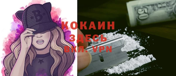 гашик Бородино